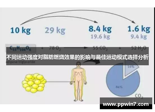 不同运动强度对脂肪燃烧效果的影响与最佳运动模式选择分析