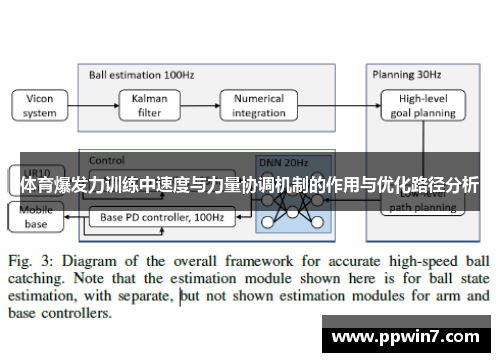 体育爆发力训练中速度与力量协调机制的作用与优化路径分析